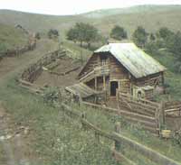 Stable