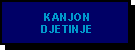 Kanjon Djetinje