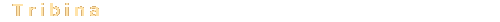 Tribina