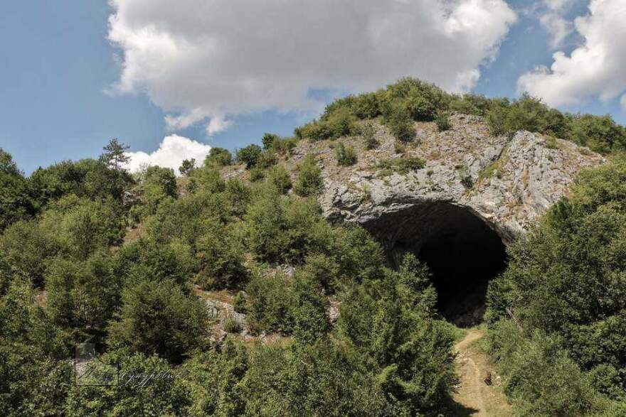 Прераст у Доброселици, Златибор