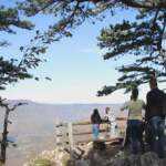 Нова година на Тари и Бајиној Башти