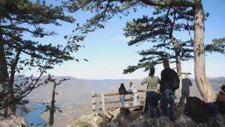 Нова година на Тари и Бајиној Башти