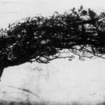 Тридесет година Биенала „Сува игла“ у Ужицу