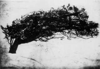 Тридесет година Биенала „Сува игла“ у Ужицу