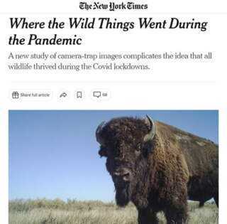 Национални парк Тара у „Њујорк Тајмсу“