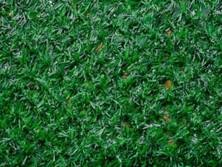 Како уредити двориште да буде најлепши део вашег дома 