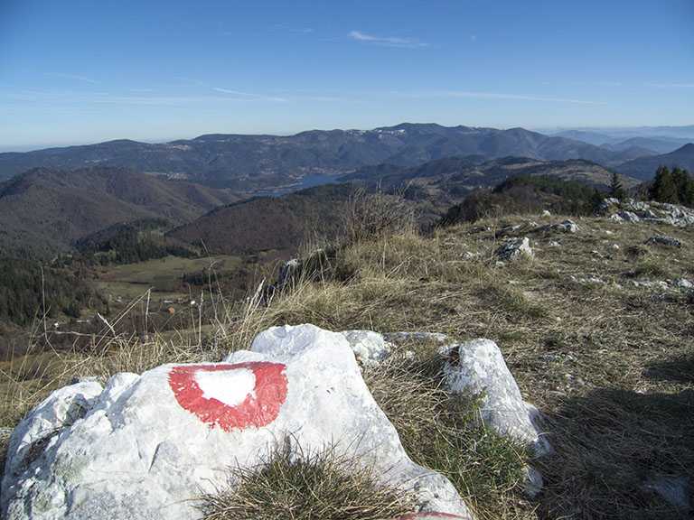 Видиковац Јањач, Фото: Национални парк Тара