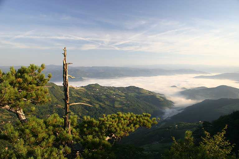 Црњесково, фото: Национални парк Тара