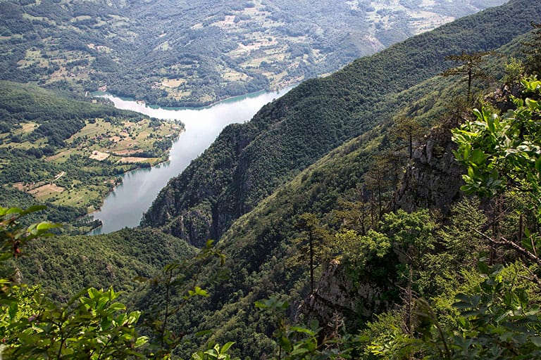 Биљешка стена на Тари, снимио Владимир Мијаиловић