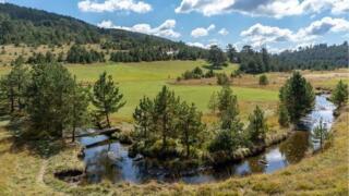 Првомајски празници на Златибору