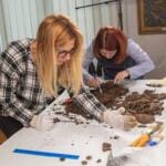 Вредна археолошка открића на локалитету у Сеништима