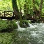 Река Година за Међународни дан река