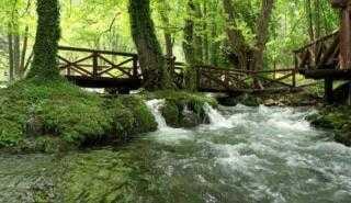 Река Година за Међународни дан река