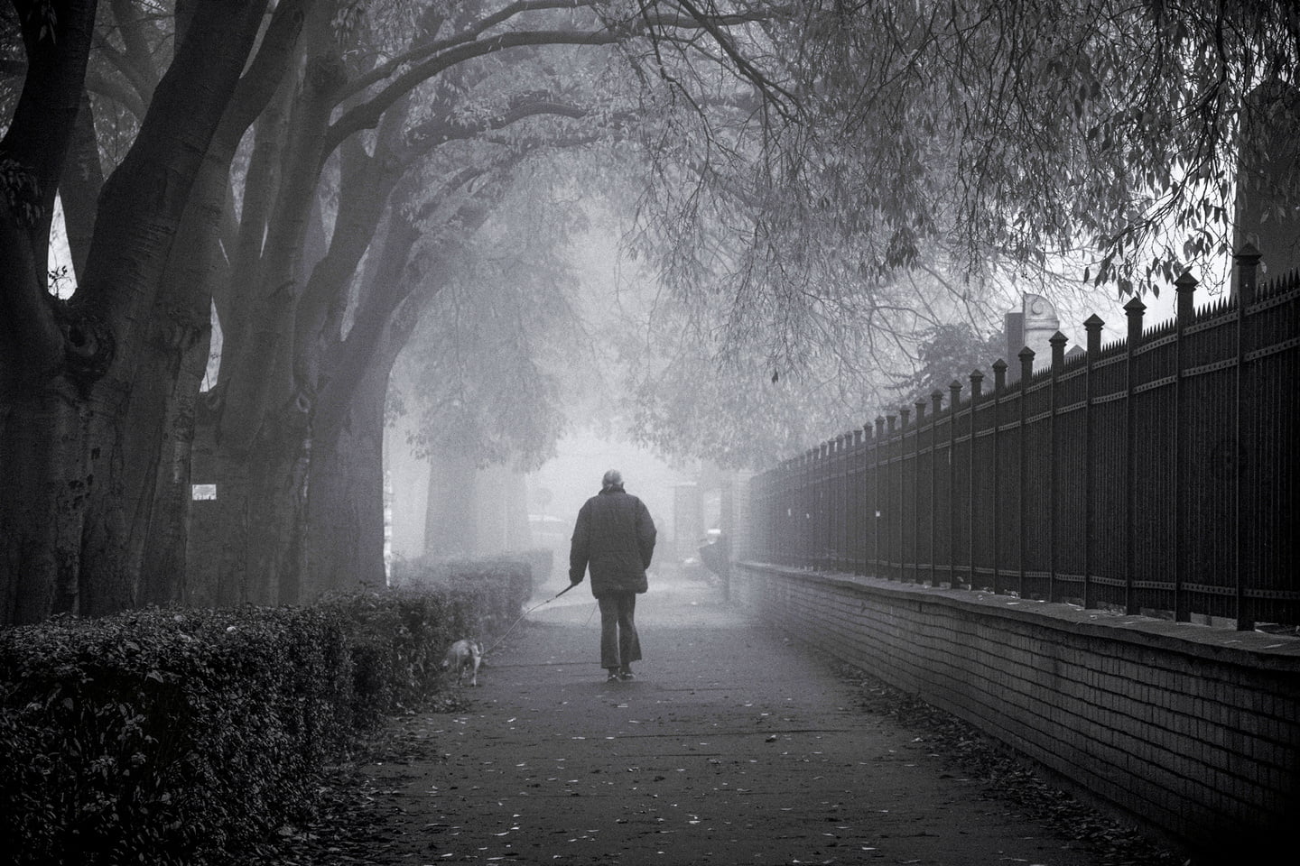 Слађана Пантелић - Човек и пас