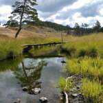 Златибор, Водице