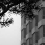 Стан на Златибору за леп и здрав живот