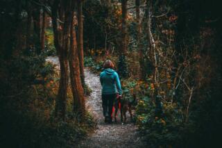 Скривени непријатељи здравља